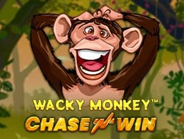Wacky Monkey Chase n Win